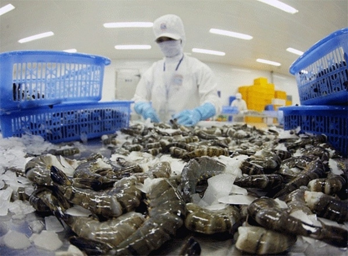 Người dân Mỹ, EU thắt chặt hầu bao, xuất khẩu tôm Việt Nam tuột dốc tăng trưởng âm
