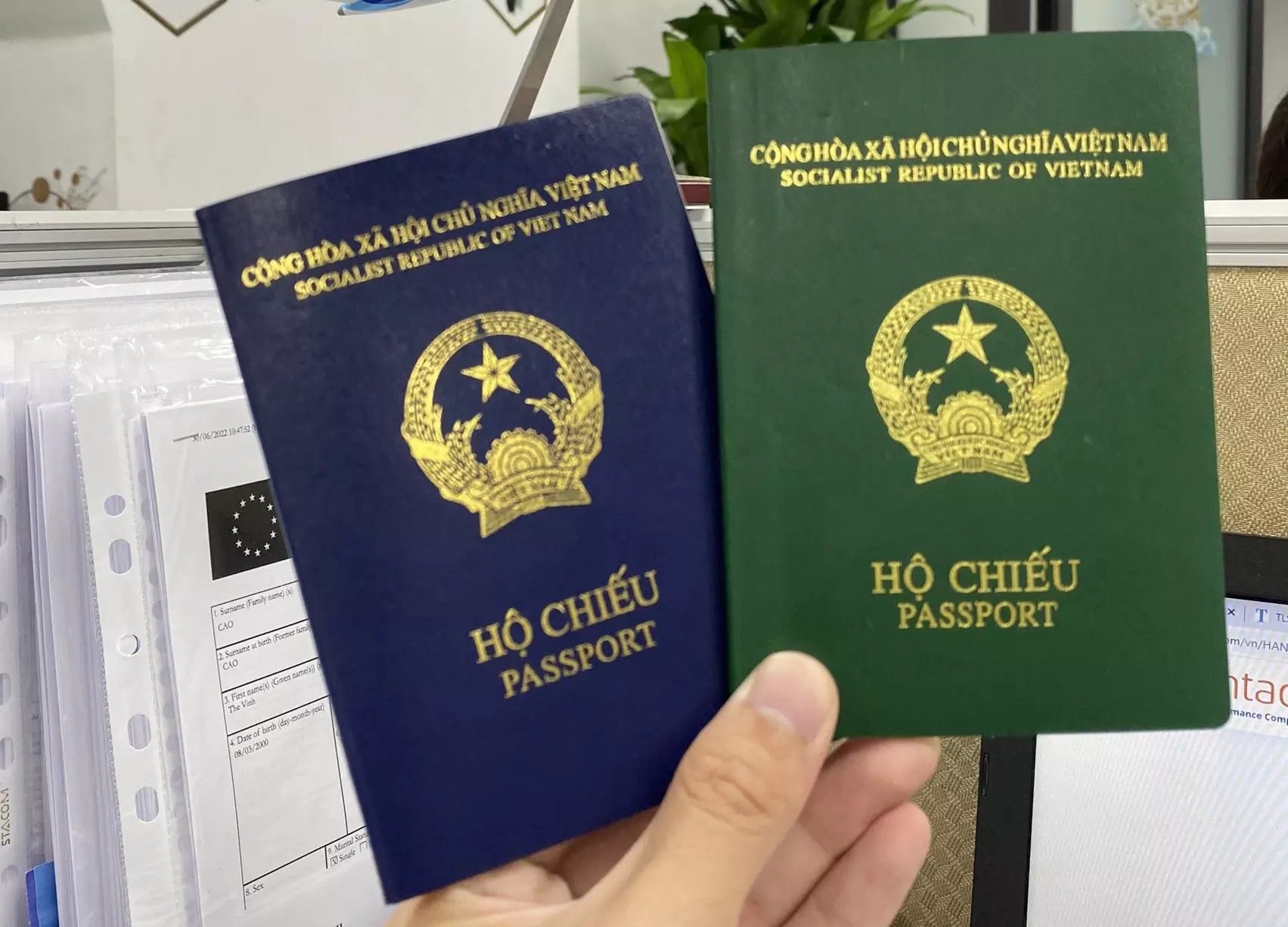 Đức dừng cấp thị thực với hộ chiếu mẫu mới: Cục Xuất nhập cảnh lên tiếng