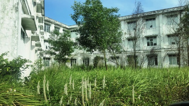 Cận cảnh bệnh viện đa khoa hàng trăm tỷ hoang tàn, cây dại bủa vây tại Huế