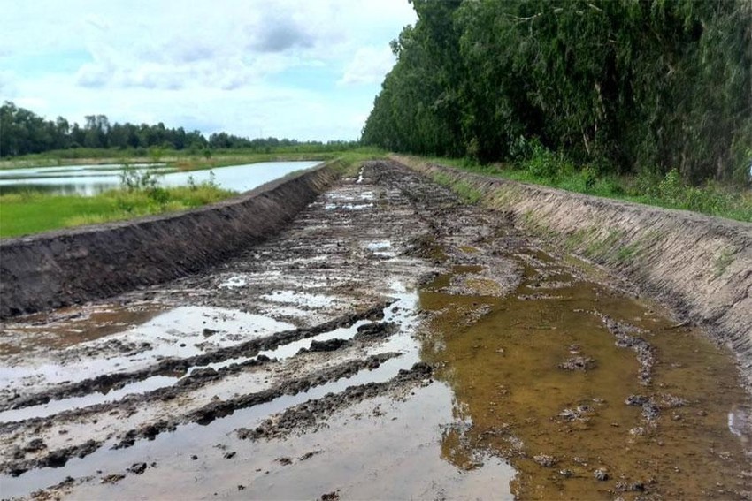Sân đua bò 'chui' 20.000m2 trên đất nông nghiệp được xử lý như nào?