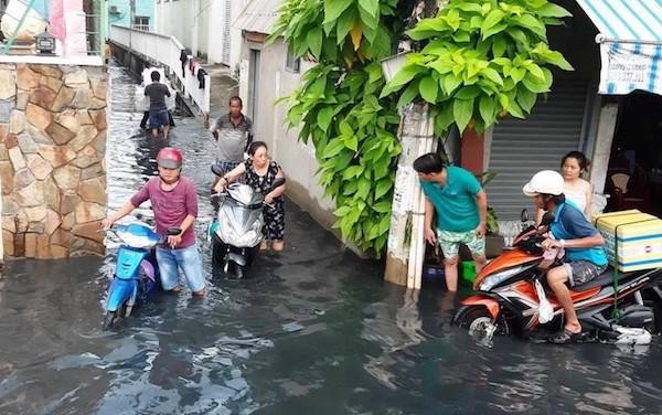 TP.HCM: 1 dự án bị từ chối cấp giấy phép vì làm hư hỏng mặt đường