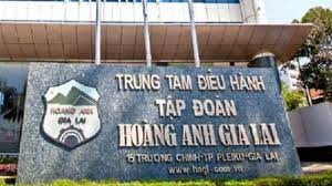 Hoàng Anh Gia Lai: Kiểm toán nghi ngờ đáng kể về khả năng hoạt động liên tục