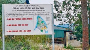 Vụ Khu đô thị mới Mai Pha: 15.000m2 đất được chuyển đổi mục đích trái quy định