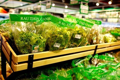 'Rau VietGap rởm vào siêu thị', Bộ NN&PTNT vào cuộc