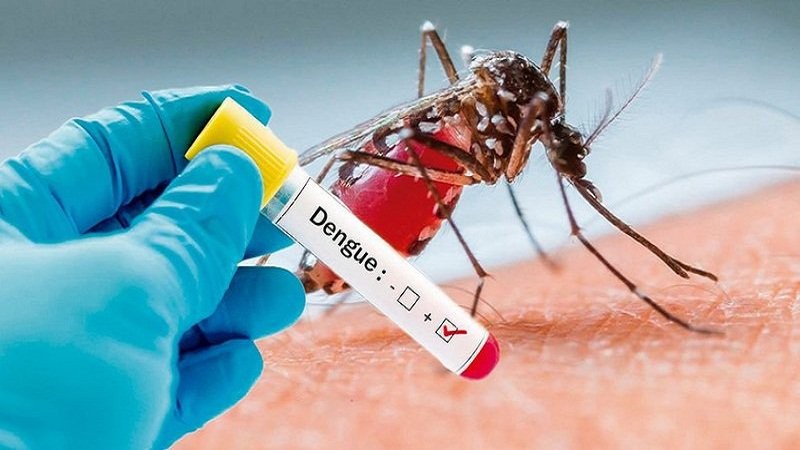 Năm 2022, số ca mắc sốt xuất huyết có thể cao nhất trong vòng 25 năm qua