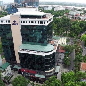 Vinafor bị xử phạt, truy thu thuế hơn 1,3 tỷ đồng