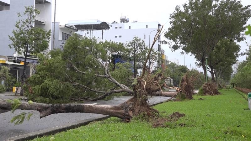 Tin mới nhất về bão Noru (bão số 4): Thiệt hại về tài sản của người dân Đà Nẵng giảm đến mức thấp nhất
