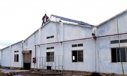 Vật vã tìm cửa sinh cho 'xác sống' DAMCO
