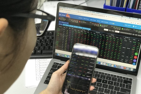 'Học phí' quá cao với nhà đầu tư F0?