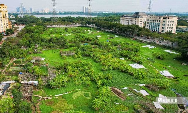 KĐT nghìn tỷ của liên danh HANHUD - LCG - INDOCOTECH thành nơi trồng rau, đổ rác