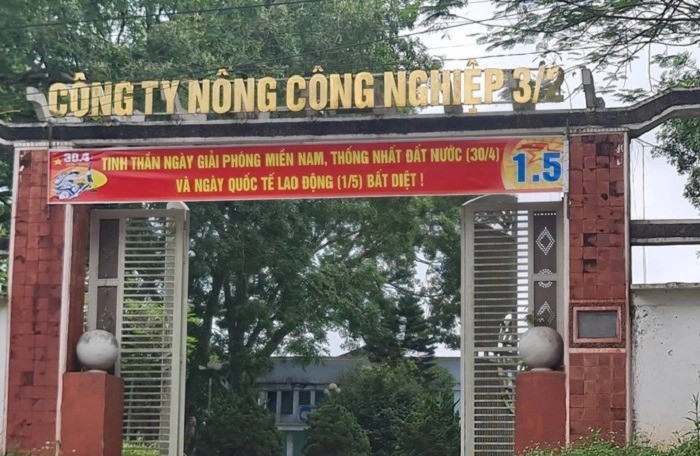 Công ty Nông công nghiệp 3/2: Lãi mỏng, dòng tiền âm, nợ phải trả tăng mạnh