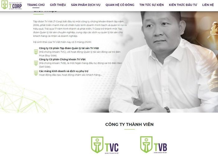 Công ty Trí Việt 'bơm tiền' cho Chủ tịch Louis Holdings thổi giá cổ phiếu thế nào?