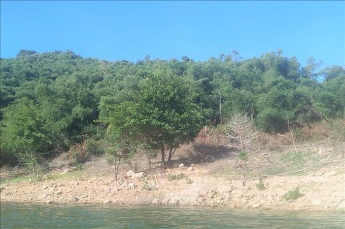 Phát hiện nhiều vi phạm liên quan đất đai tại Vĩnh Thạnh, Bình Định