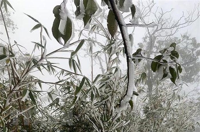 Không khí lạnh tăng cường, Bắc Bộ và Bắc Trung Bộ tiếp tục rét