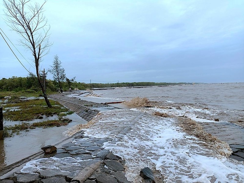 Cà Mau công bố tình huống khẩn cấp về thiên tai với sạt lở đê biển Tây