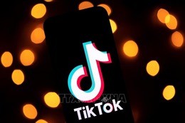 Xử phạt người đăng TikTok sai sự thật, xúc phạm uy tín của lực lượng Cảnh sát PCCC