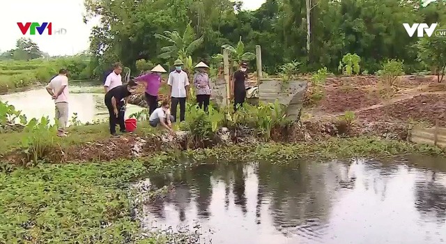 Thái Bình: Bị đình chỉ hoạt động, cơ sở sản xuất thạch vẫn ngang nhiên xả thải