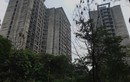 Hoang tàn dự án nghìn tỷ “chết yểu” giữa trung tâm Hà Nội