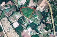 Hà Tĩnh cấp đất chồng lấn: Chưa thể thanh tra như chỉ đạo, phải thu hẹp phạm vi thanh tra