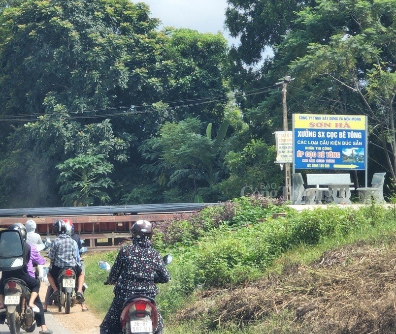 Thanh Hóa: Công ty Sơn Hà vi phạm hành lang đê điều, chính quyền huyện ở đâu?