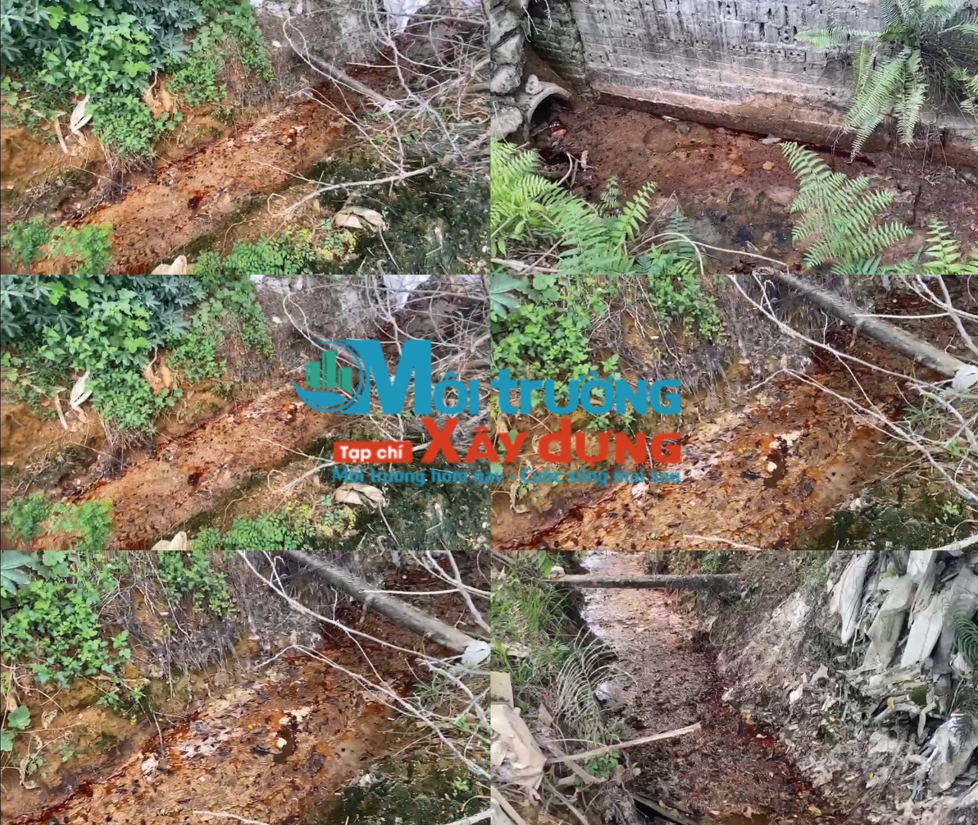 Hà Nội: Công ty TNHH sản xuất và chế biến thực phẩm Alishan xả thải trực tiếp ra môi trường?