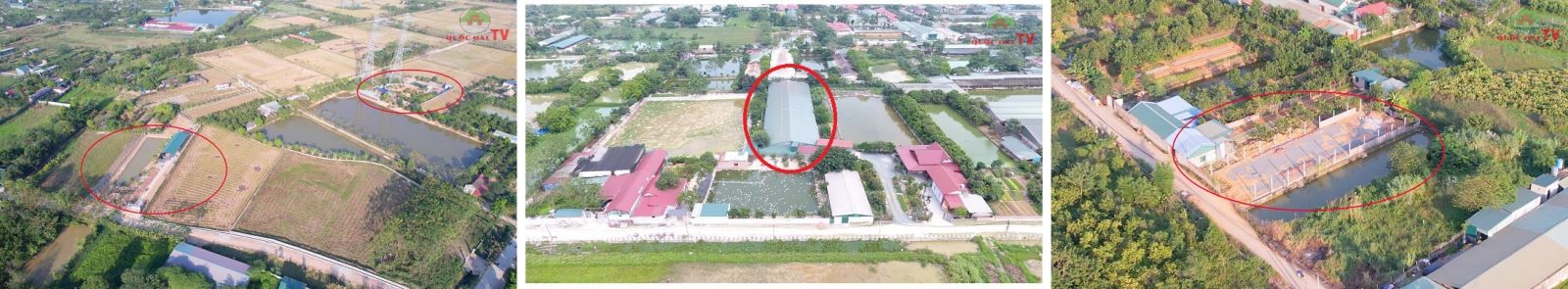 UBND huyện Quốc Oai chỉ đạo kiểm tra các công trình có dấu hiệu vi phạm trên đất nông nghiệp tại xã Ngọc Mỹ
