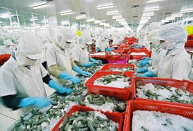Một cổ phiếu thủy sản liên tiếp "bay cao" bất chấp thị trường "lao dốc"