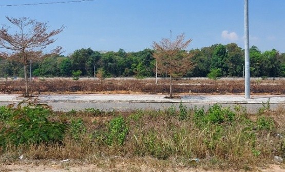 Kon Tum: Nhiều lô đất bỏ hoang sau khi đấu giá