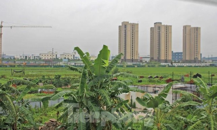 Bắc Giang xử phạt và 'bêu tên' loạt dự án vi phạm đất đai