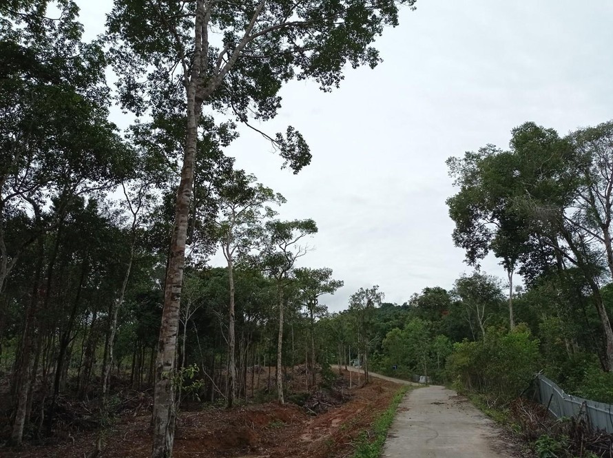 Bài 2: Cận cảnh Phú Quốc: Doanh nghiệp cưỡng chế đất dân (?!)