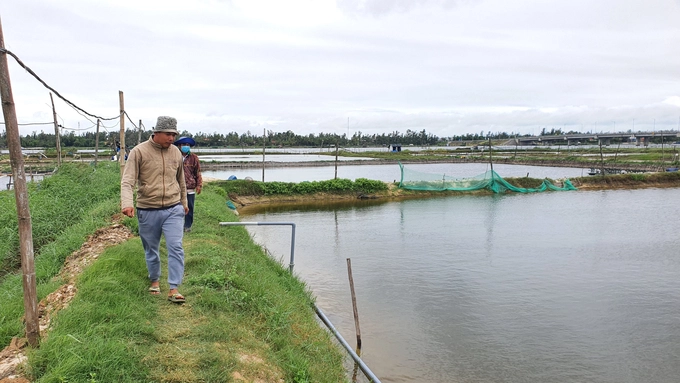 [Bài 1]: Báo động môi trường nuôi trồng thủy sản nước lợ bị suy thoái