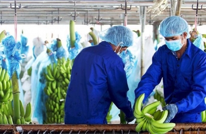 Hoàng Anh Gia Lai: Kiểm toán nghi ngờ đáng kể về khả năng hoạt động liên tục