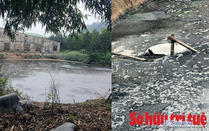 Yên Lập – Phú Thọ: Hơn chục năm sống trong ô nhiễm của trang trại lợn và trách nhiệm của chính quyền địa phương?