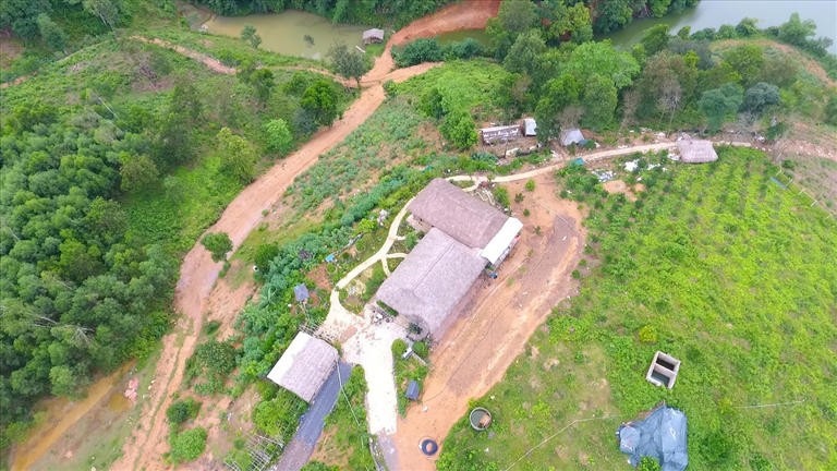 Hòa Bình: Nhiều ha đất rừng bị san lấp, chính quyền phạt cho có?