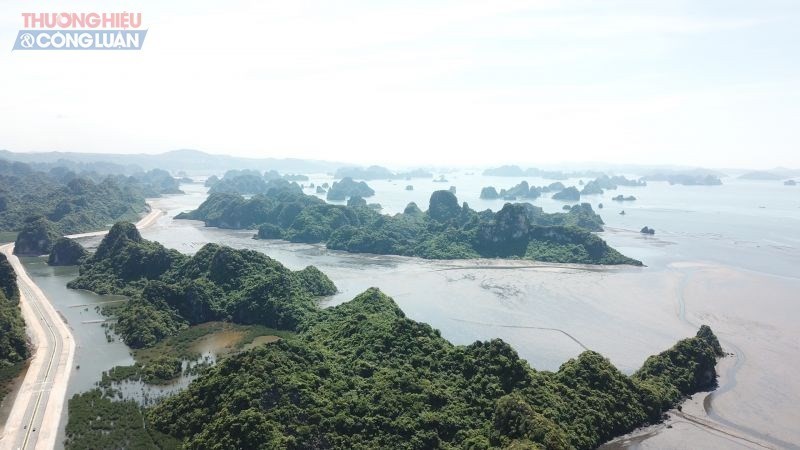 Thương hiệu đất vàng và doanh nghiệp “khai sinh” 40 ngày tuổi ở Quảng Ninh