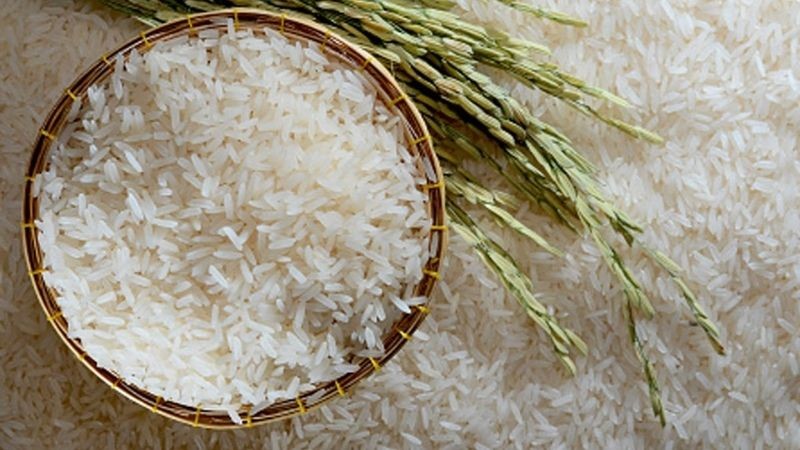 Vượt qua hơn 600 tiêu chuẩn kỹ thuật khắt khe, gạo ST25 đã có mặt tại Nhật Bản