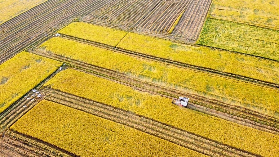 HTX Toàn Lực: Chủ tịch HĐQT thừa nhận ký khống hàng loạt giấy chứng nhận vốn góp