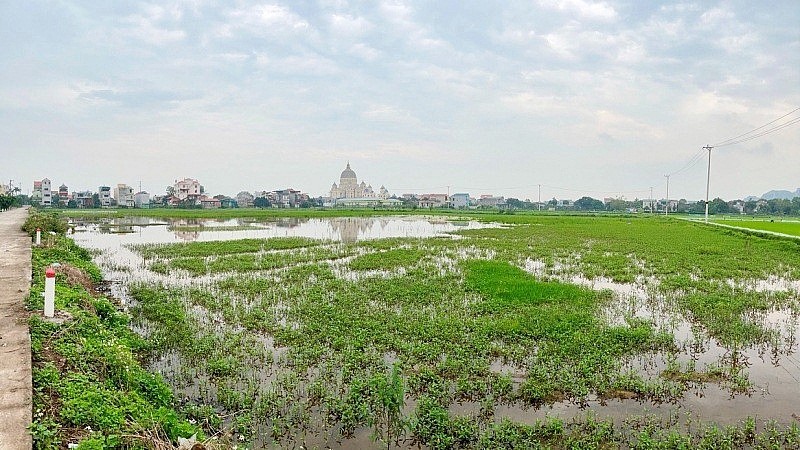 Ninh Bình: Dự án Khu dân cư Cầu Chẹm chậm tiến độ, gia hạn 2 lần vẫn chưa thể xây dựng