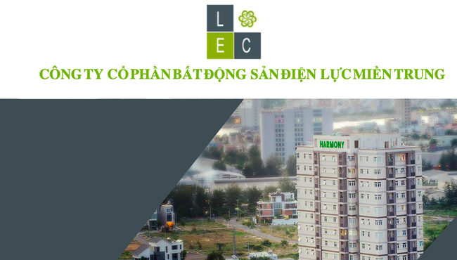 Kinh doanh èo uột, vì sao cổ phiếu LEC tăng trần liên tục 11 phiên?