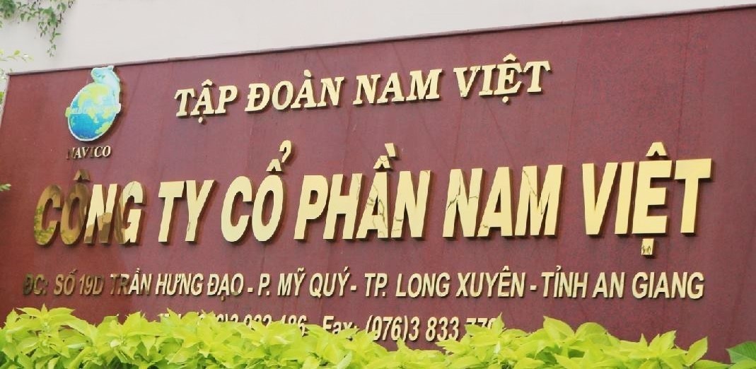 Nam Việt (AVN) nợ vay tăng 300 tỷ đồng trong nửa năm, chốt trả cổ tức bằng tiền mặt tỷ lệ 10%