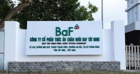 Thêm một lãnh đạo bán ra 6,59 triệu cổ phiếu BAF khi cổ phiếu giảm 35,3%