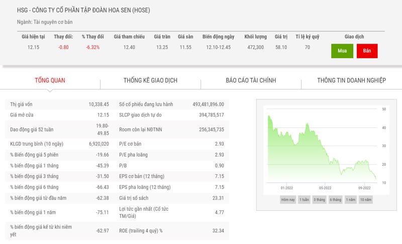 Giá giảm hơn 70%, thêm một lãnh báo bán ra cổ phiếu HSG