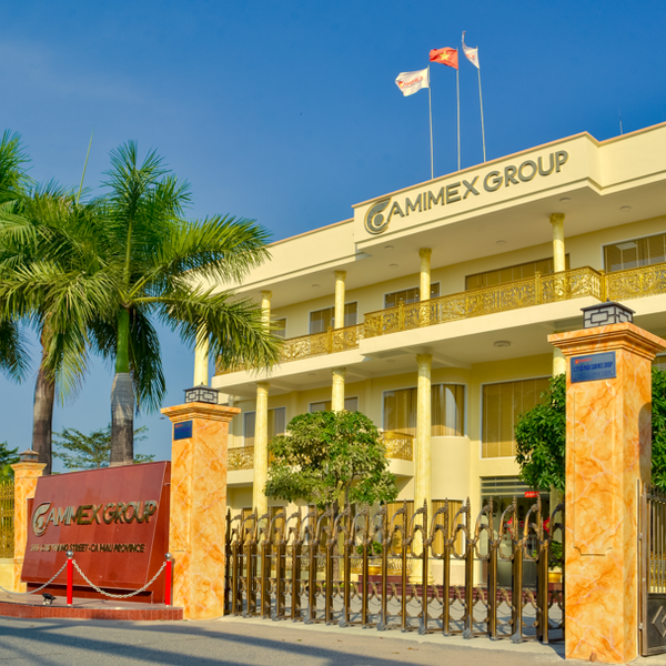 Camimex phát hành 300 tỷ đồng trái phiếu, bảo đảm bằng cổ phiếu CMM