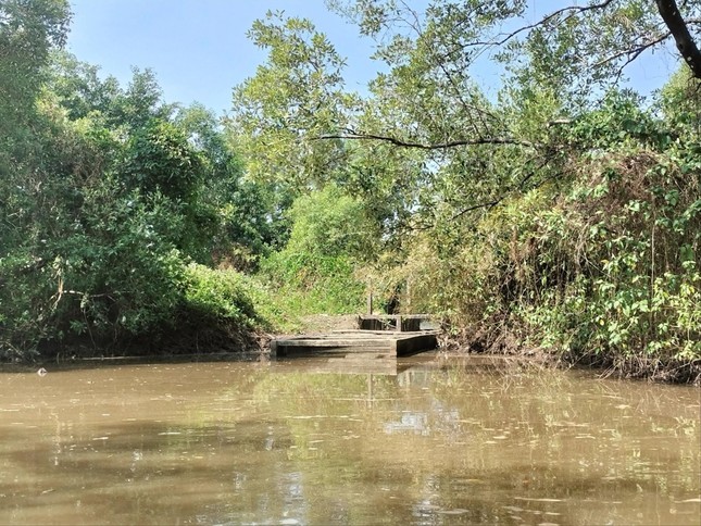 Sân chim Đầm Dơi thành vuông nuôi tôm