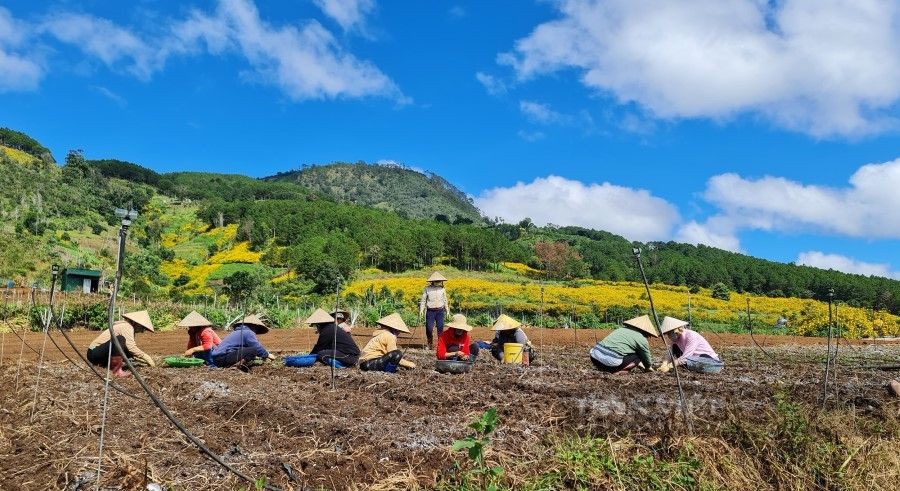 Tân Thành Holdings dừng dự án Khu đô thị Giáo dục Khoa học Núi Voi quy mô 700ha