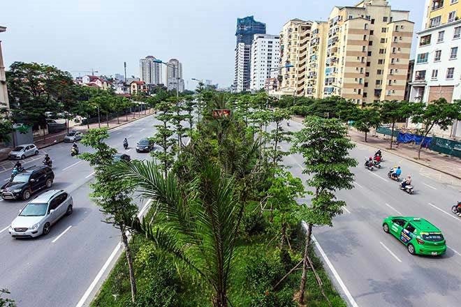 Công ty Công viên cây xanh trúng thầu 1.800 tỷ đồng trồng cây ở Hà Nội thế nào?