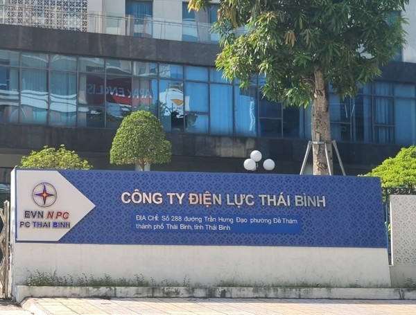 Đấu giá ở Cty Điện lực Thái Bình: Có hay không việc gây khó dễ cho đơn vị tham gia?