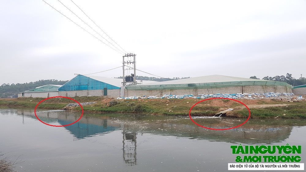 Nghi Sơn (Thanh Hóa): HTX Liên Minh “thẳng tay” xả thải ra môi trường