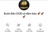 Đầu tư tiền ảo vào Tập đoàn tài chính OCB, nhiều người “sập bẫy” mất hàng chục tỷ đồng