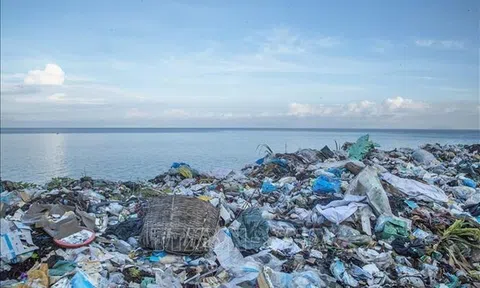 “Thành phố sạch vì một Việt Nam xanh” - Chung tay giảm thiểu ô nhiễm rác thải nhựa